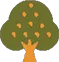 bankonus_logo